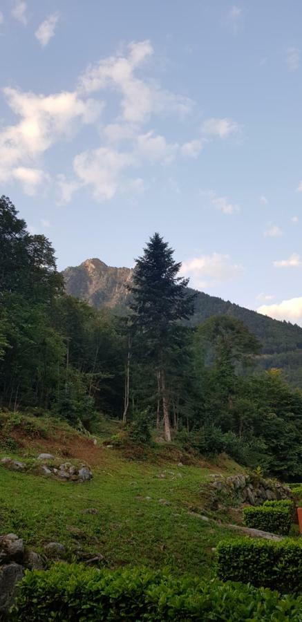 Appartement Cauterets Exterior foto